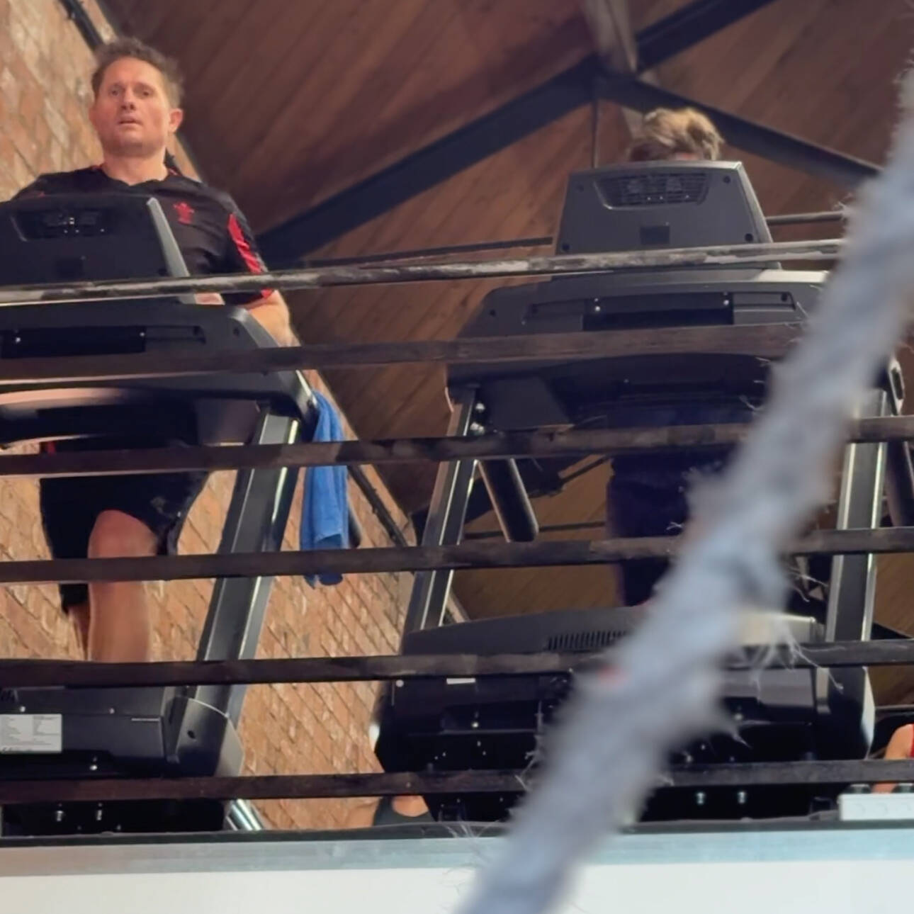 manual override of alt text