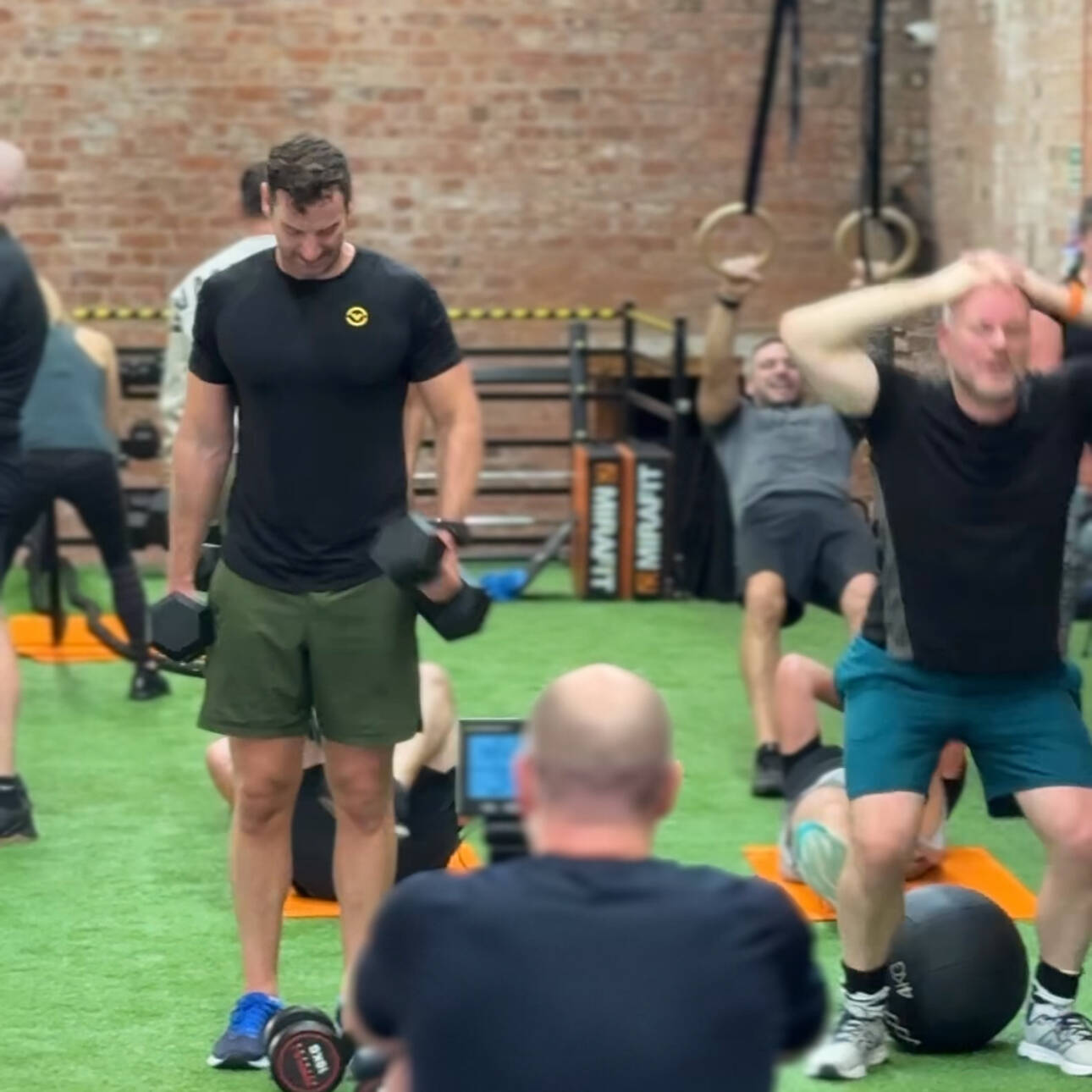 manual override of alt text