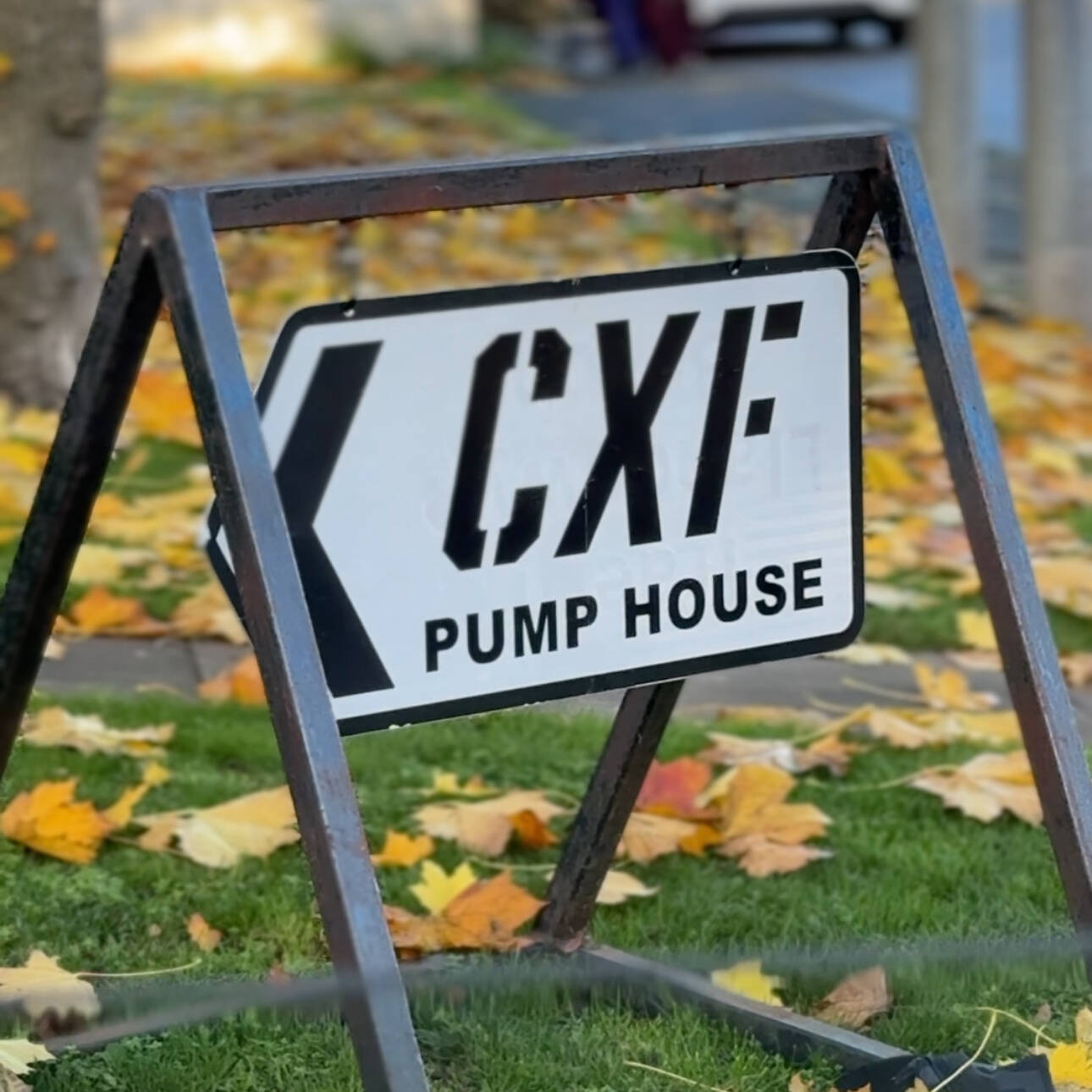 manual override of alt text