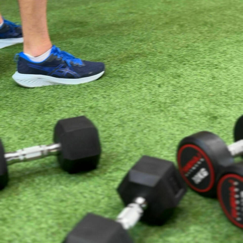 manual override of alt text